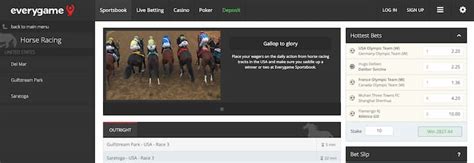 8 Best Online Horse Racing Betting Sites & Sportsbooks of 2024.
